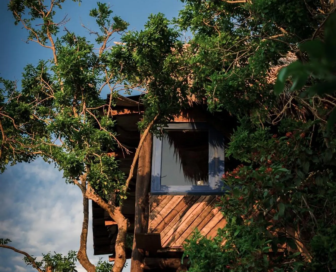 Casa El Paraiso, Eco Lodge Samaná Bed and breakfast