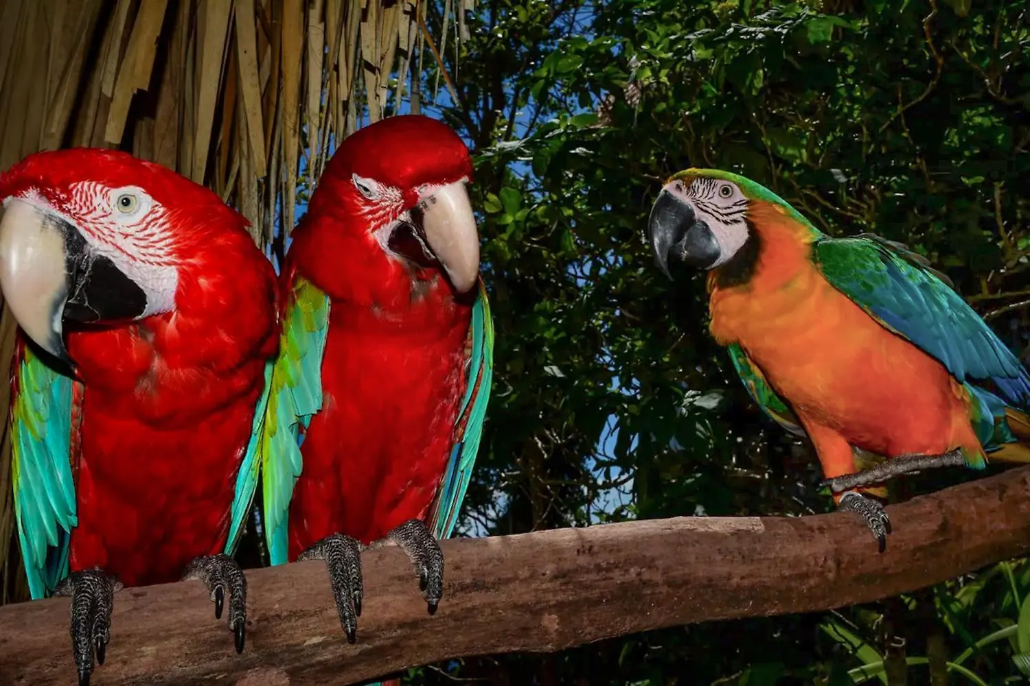 Casa El Paraiso, Eco Lodge Samana